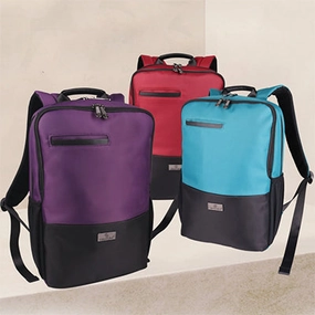 Hot Offer Frenzy Allan D'Lious  Laptop Bag 029