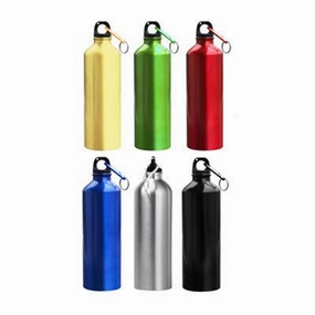 Aluminium Bottle With Carabiner (Metallic) New Arrival Discount Today Only Hot Sale