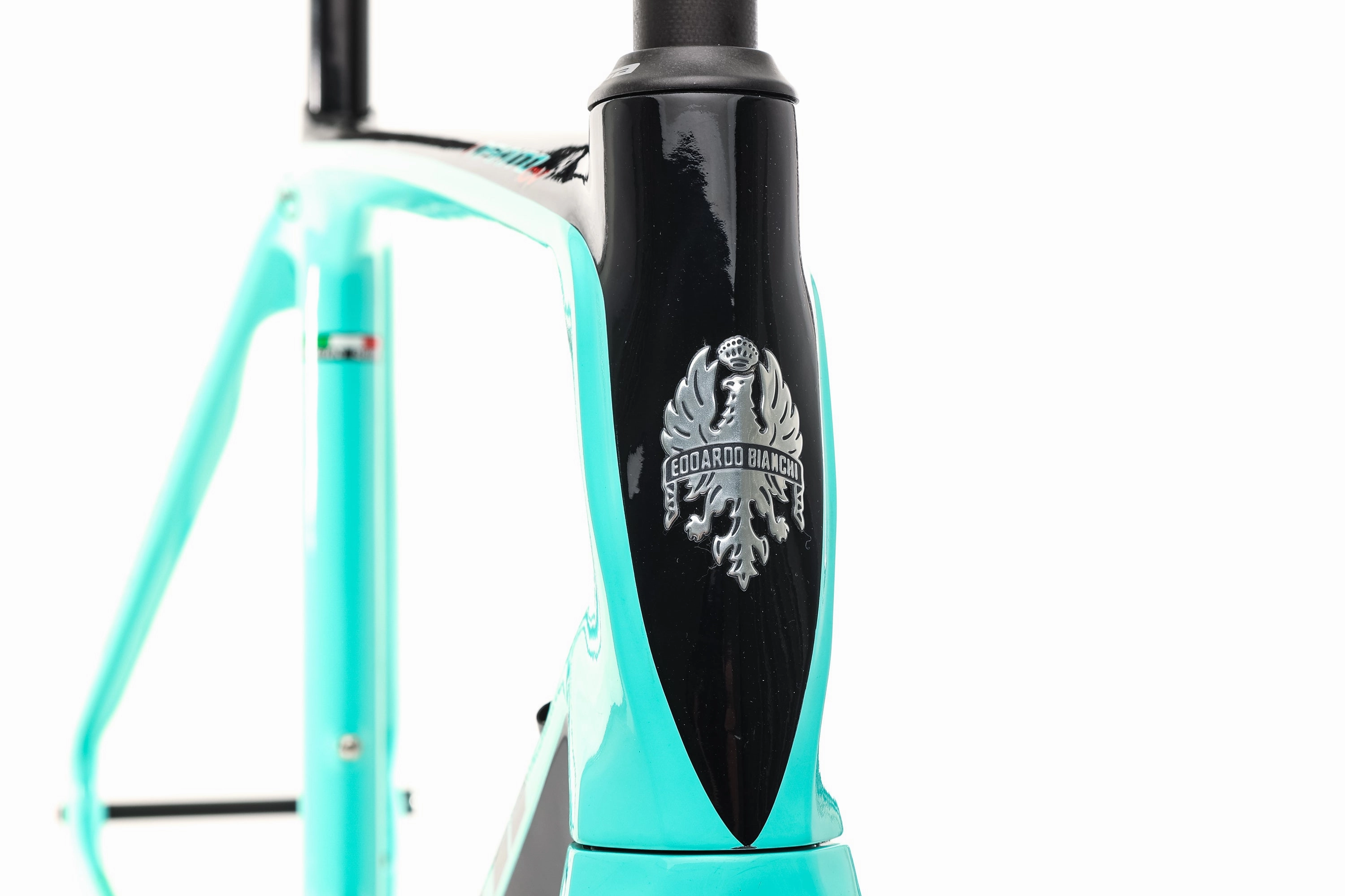 Bianchi Infinito CV 55cm Frameset - 2021
