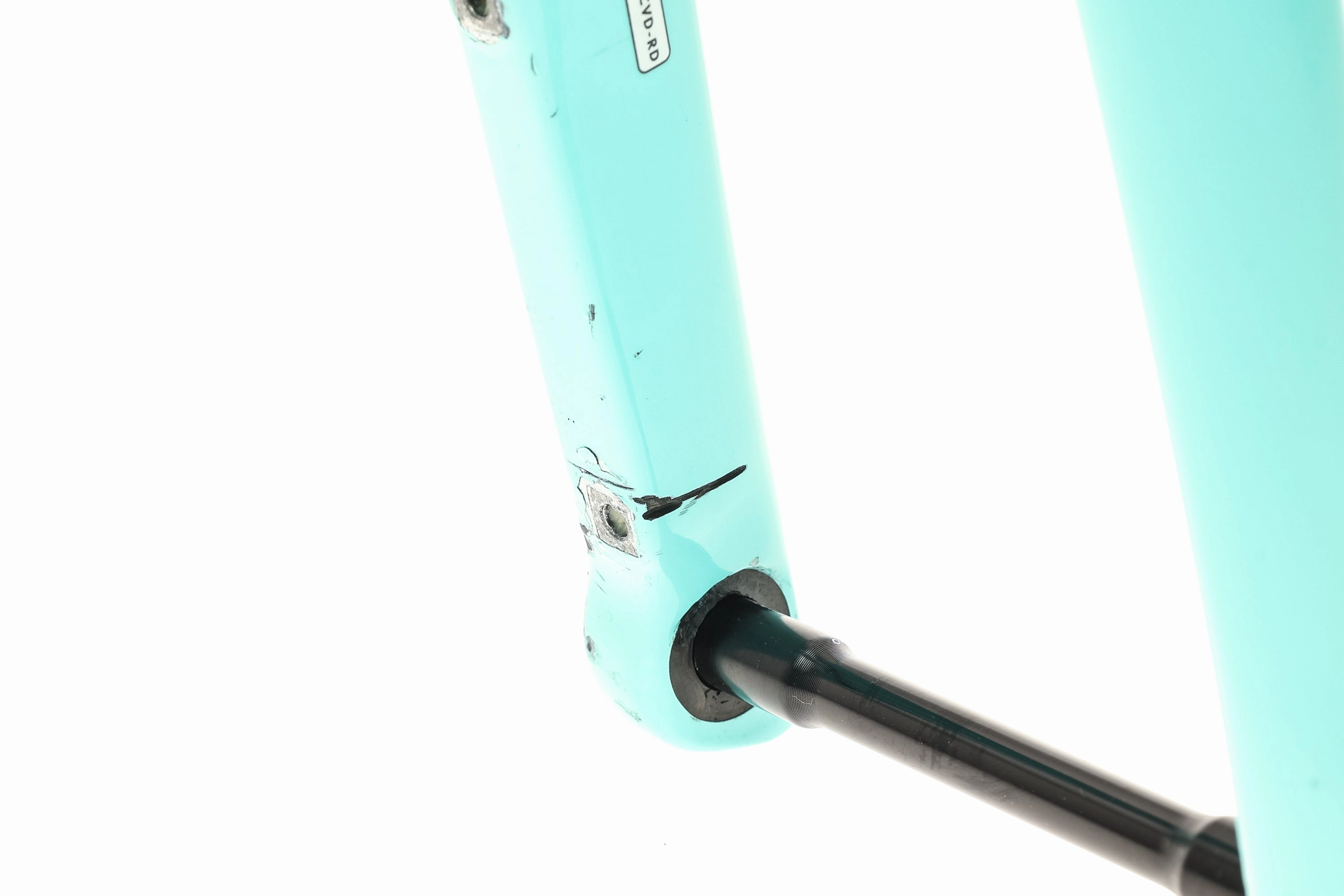 Bianchi Specialissima 57cm Frameset - 2022