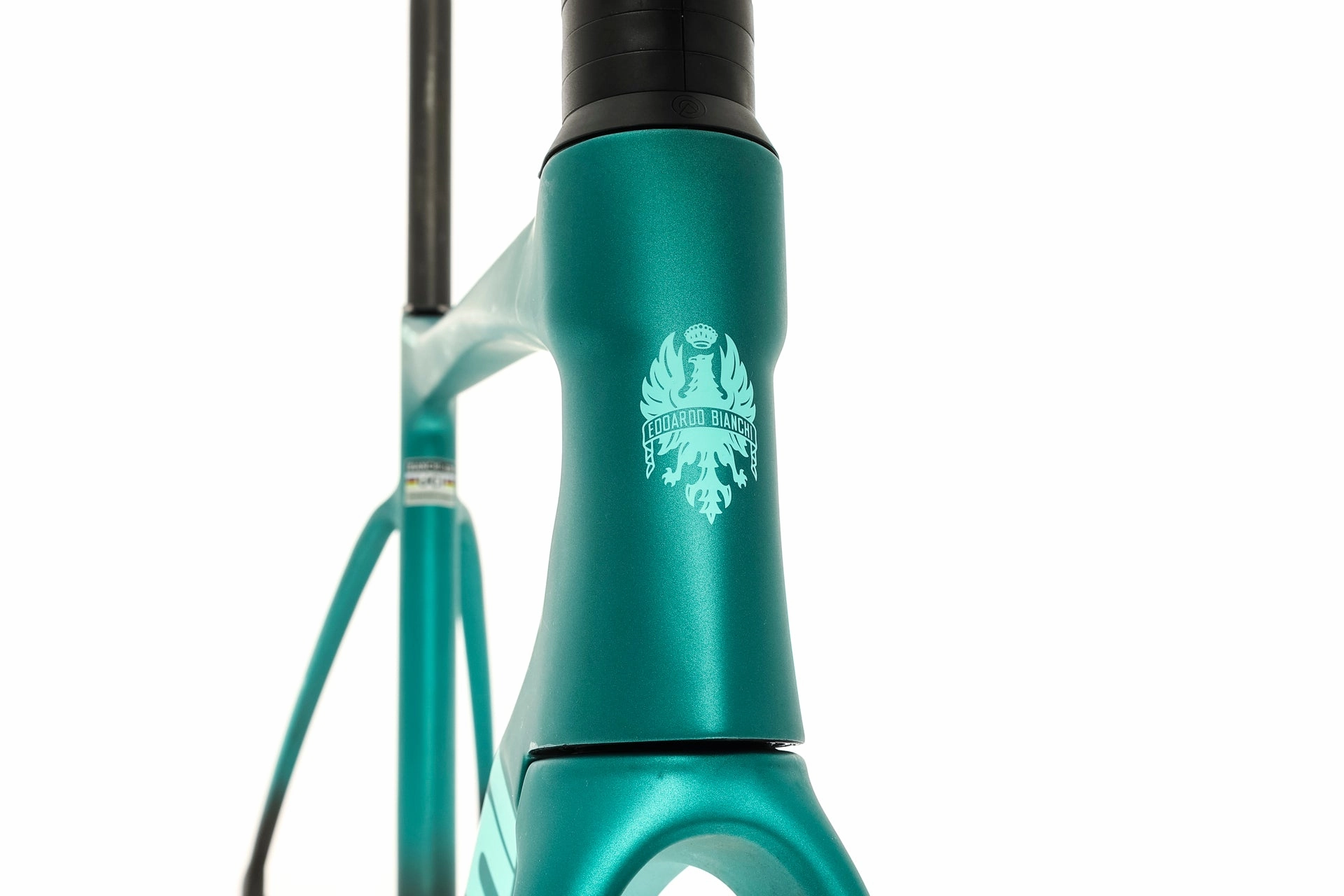 Bianchi Specialissima Pro 55cm Frameset - 2024