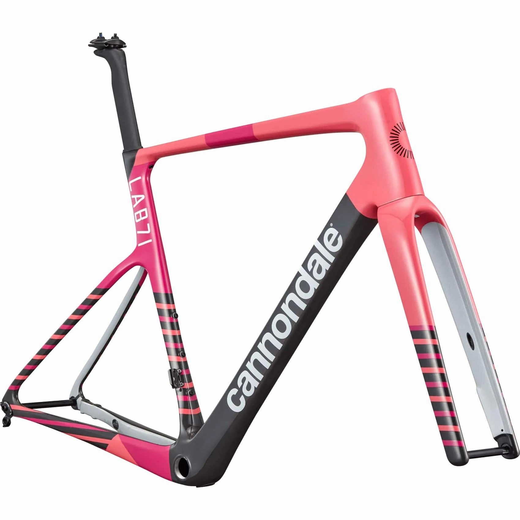Cannondale Supersix EVO LAB71 frame - EF Team Replica