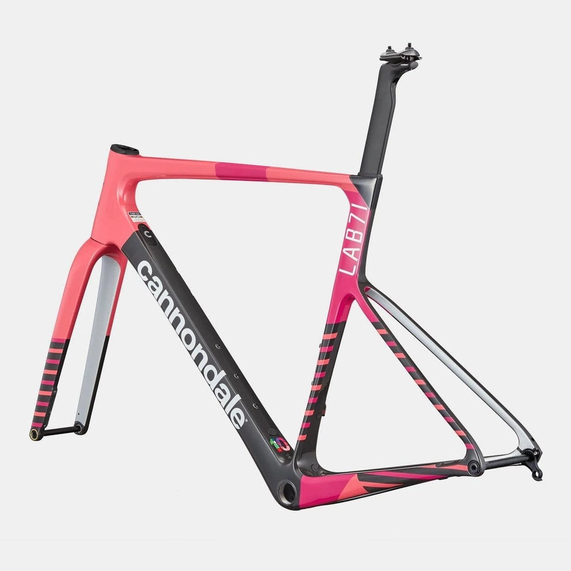 Cannondale Supersix EVO LAB71 frame - EF Team Replica