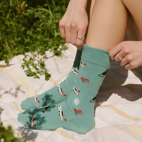 Socks That Save Cats - Frisky Felines Instant Hot Deal Exclusive Deal Inside