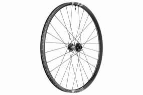 DT Swiss F 1900 Classic Alloy Tubeless 29" Front Wheel