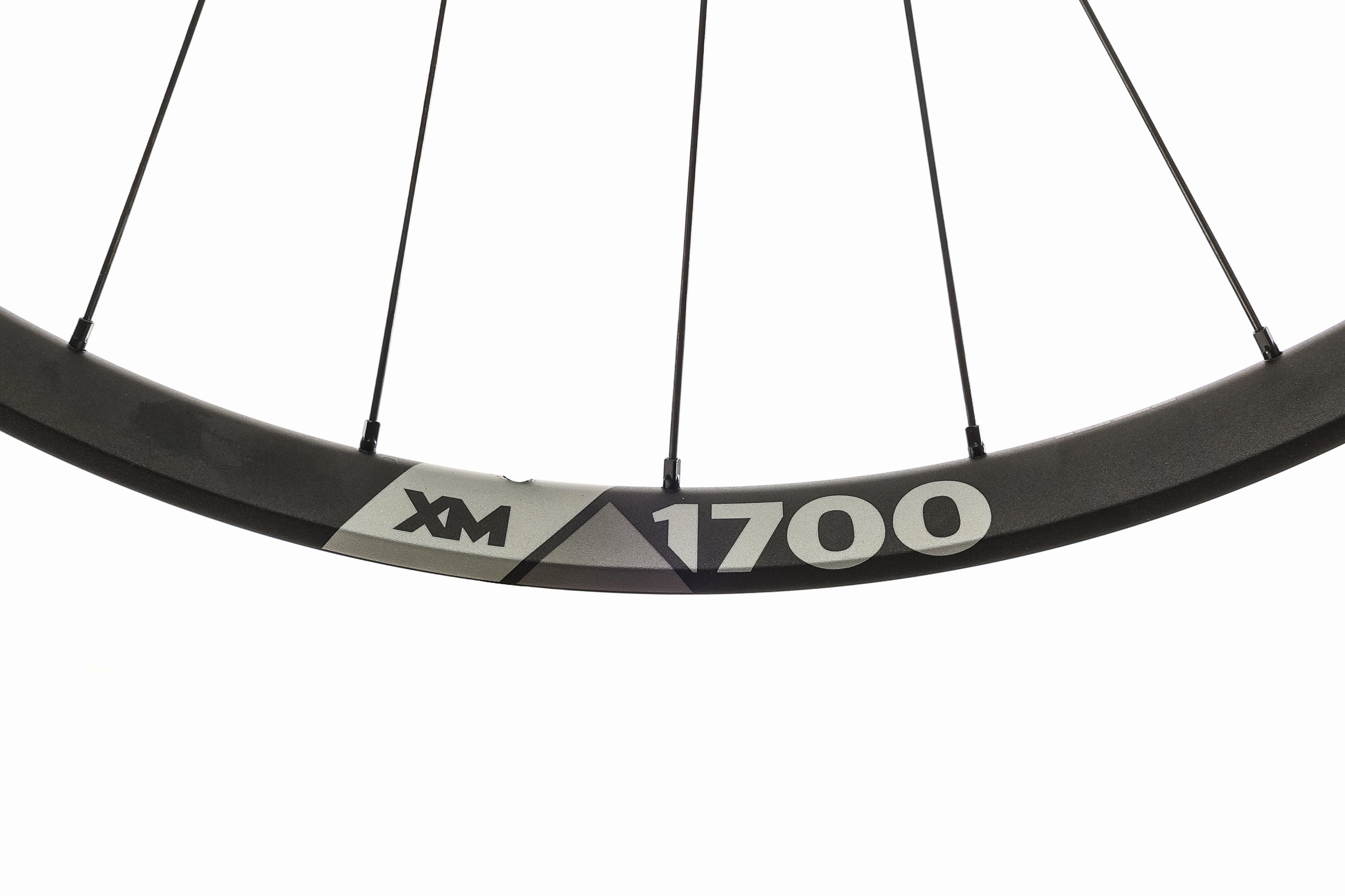 DT Swiss XM 1700 Aluminum Tubeless 29" Wheelset