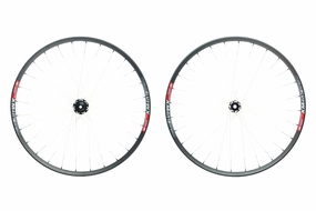 DT Swiss XM 481 Rims w/ Berd Spokes Aluminum Tubeless 29" Wheelset