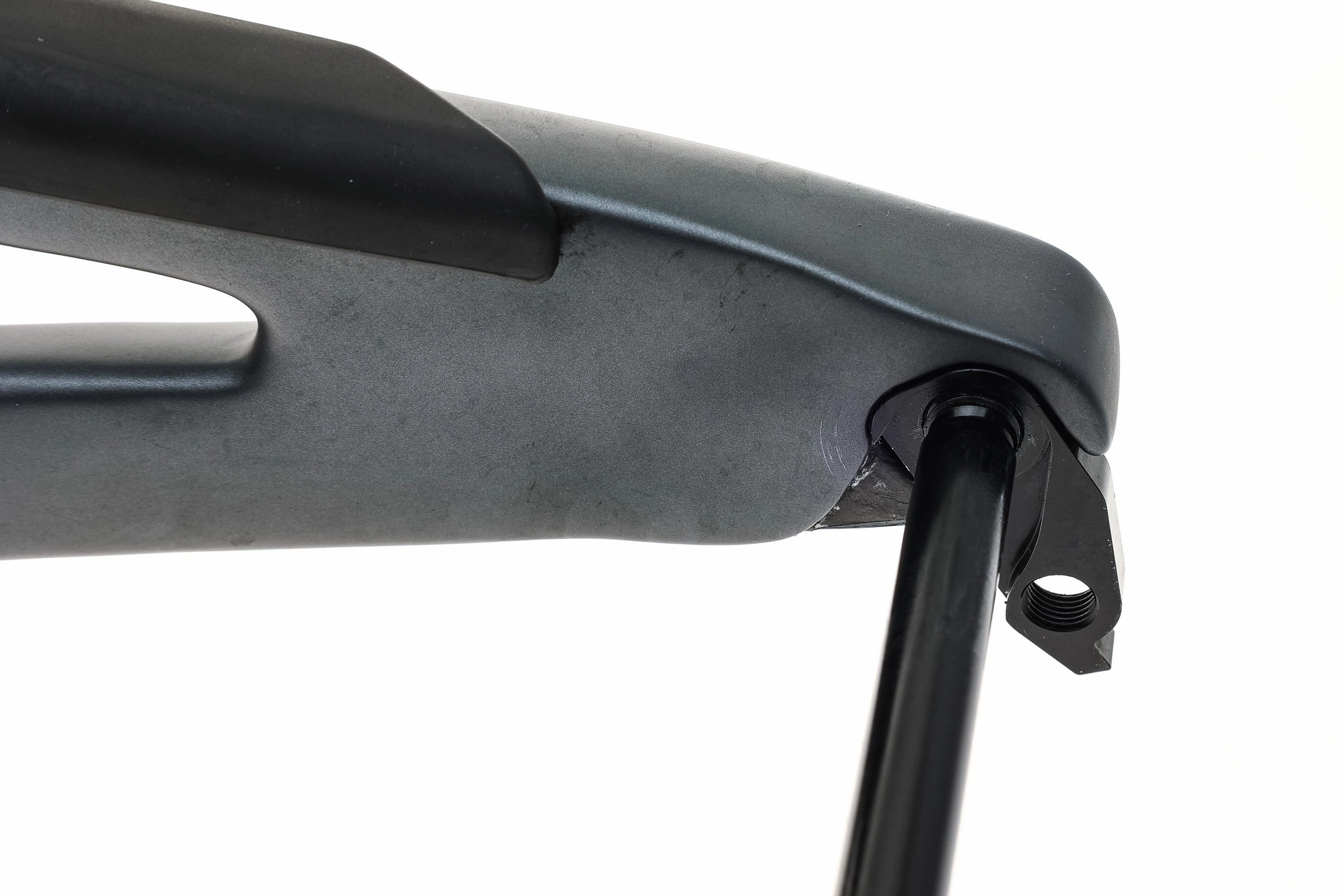 Forbidden Druid Frameset X-Large Frameset - 2022