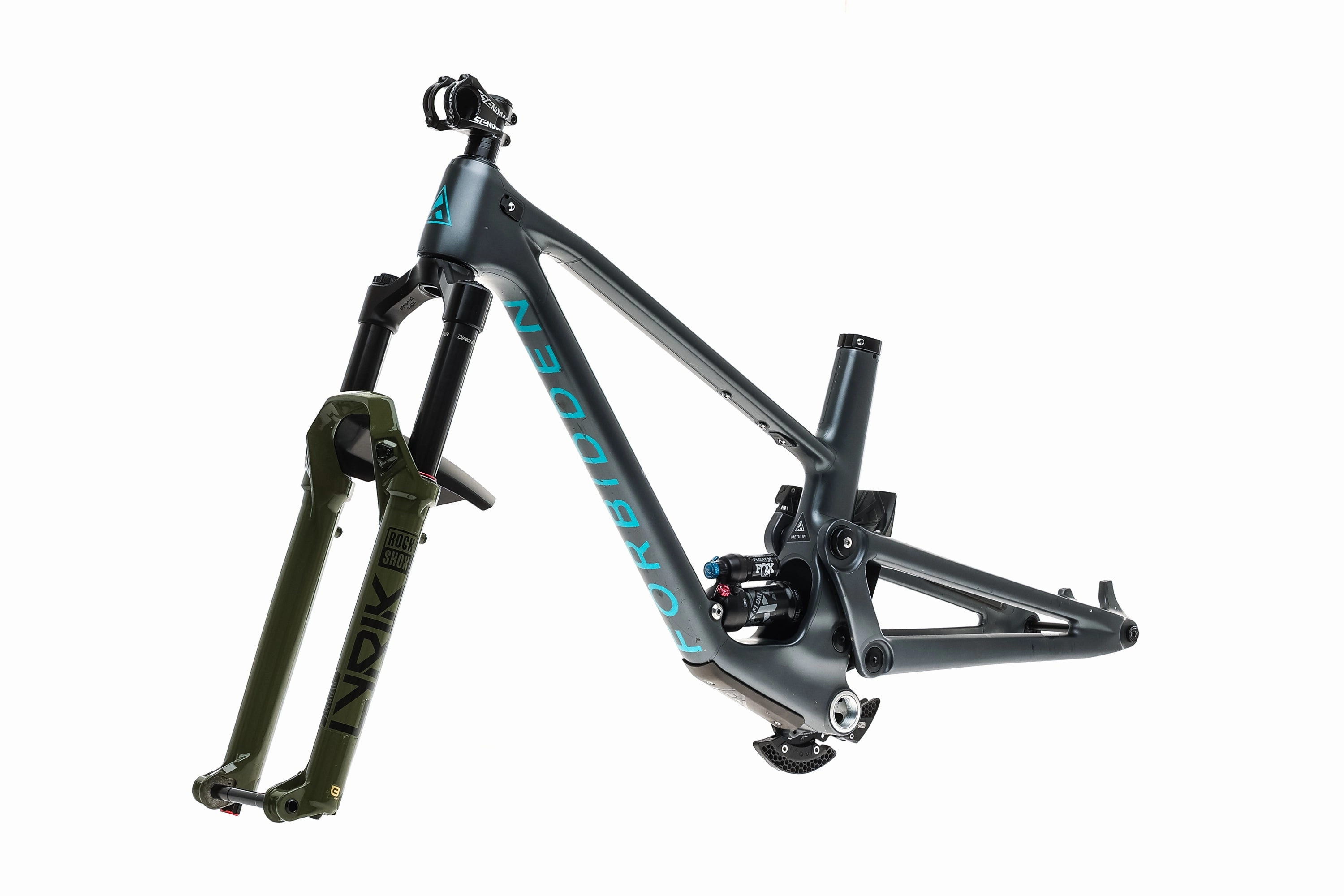 Forbidden Druid Medium Frameset - 2021