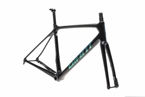 Giant TCR Advanced Pro Medium Frameset - 2020