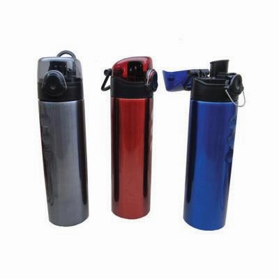 Today Only Discount Stainless Steel Bottle With Clip Lock Cap