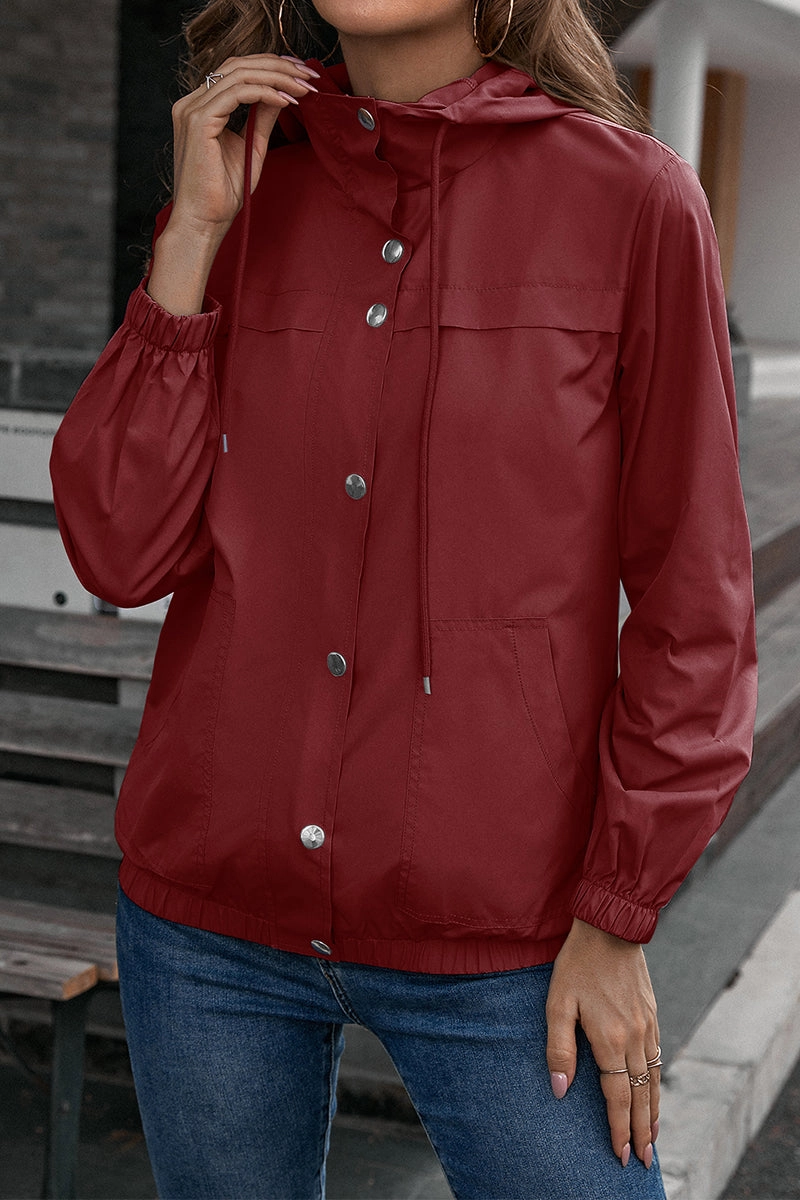 Flash Sale Now Ivy Lane Button-Down Long Sleeve Sports Jacket