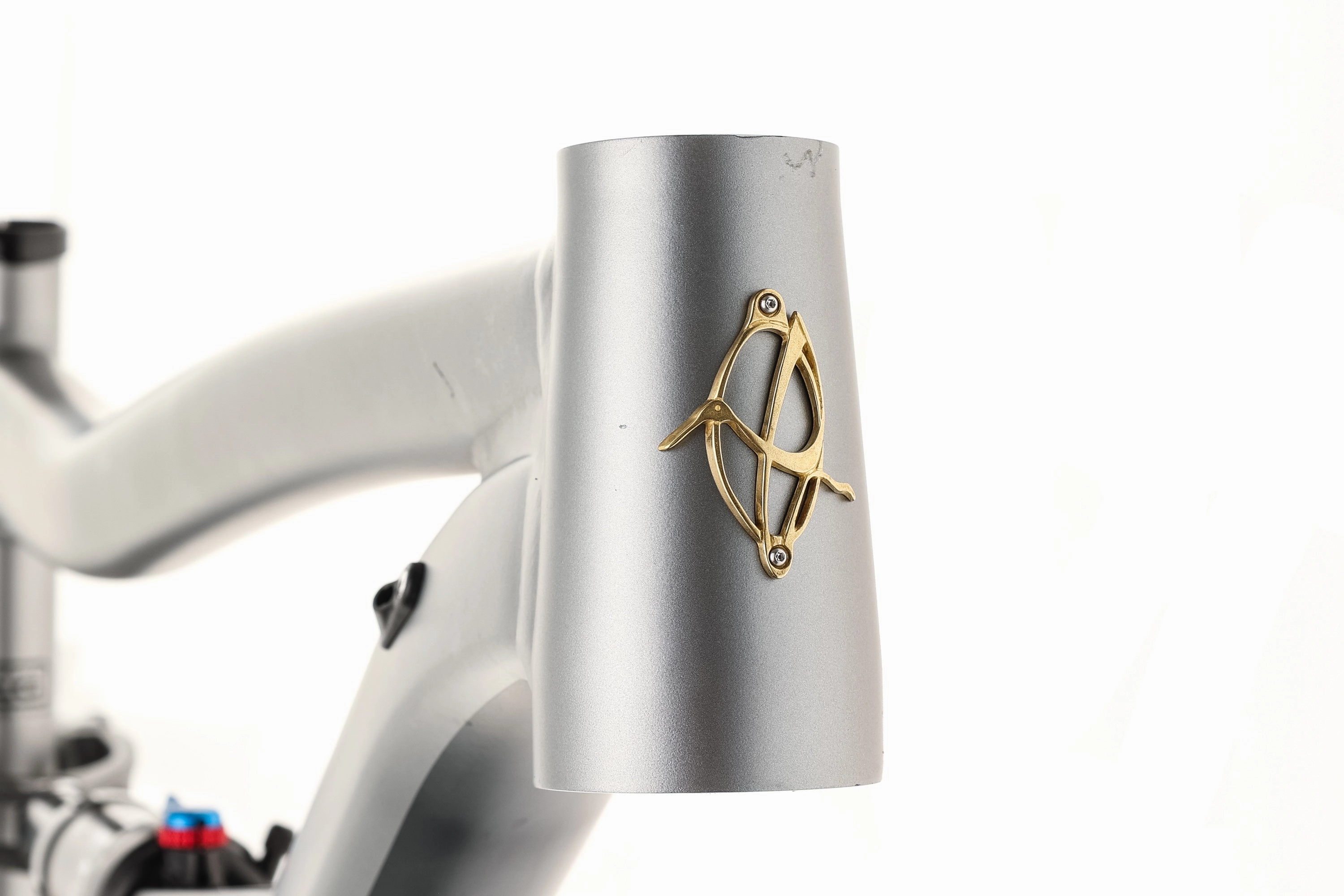 Ibis Ripley AF Large Frame - 2022