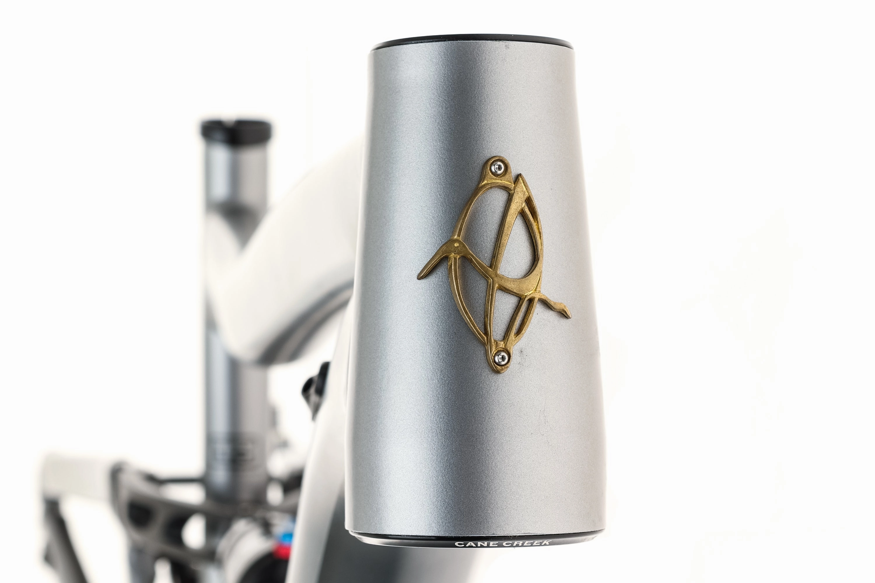 Ibis Ripley AF Large Frame - 2022