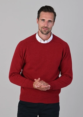 Todays Best Deal Leven 2 Ply Lambswool Crew Neck Plus Size