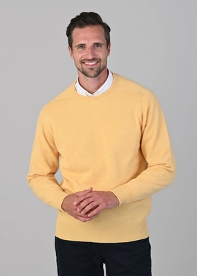 MustHave Deals Leven 2 Ply Lambswool Crew Neck Plus Size