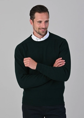 Leven 2 Ply Lambswool Crew Neck Plus Size Shop the Best Deals
