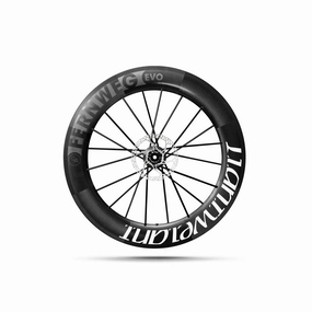 Lightweight Fernweg 85 EVO Disc Tubeless Wheel - Front