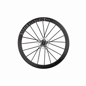 Lightweight Meilenstein 24 EVO Disc Brake Schwarz Edition Front Wheel