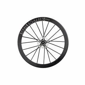 Lightweight Meilenstein 24 EVO Disc Brake Schwarz Edition Rear Wheel