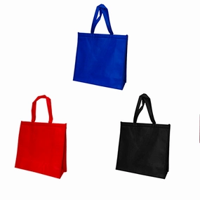 Shop Smart Save Nonwoven Cooler Bag