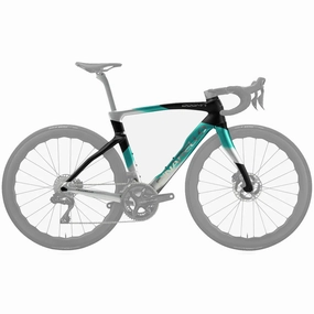 Pinarello Dogma F Disk Frameset - Green silver