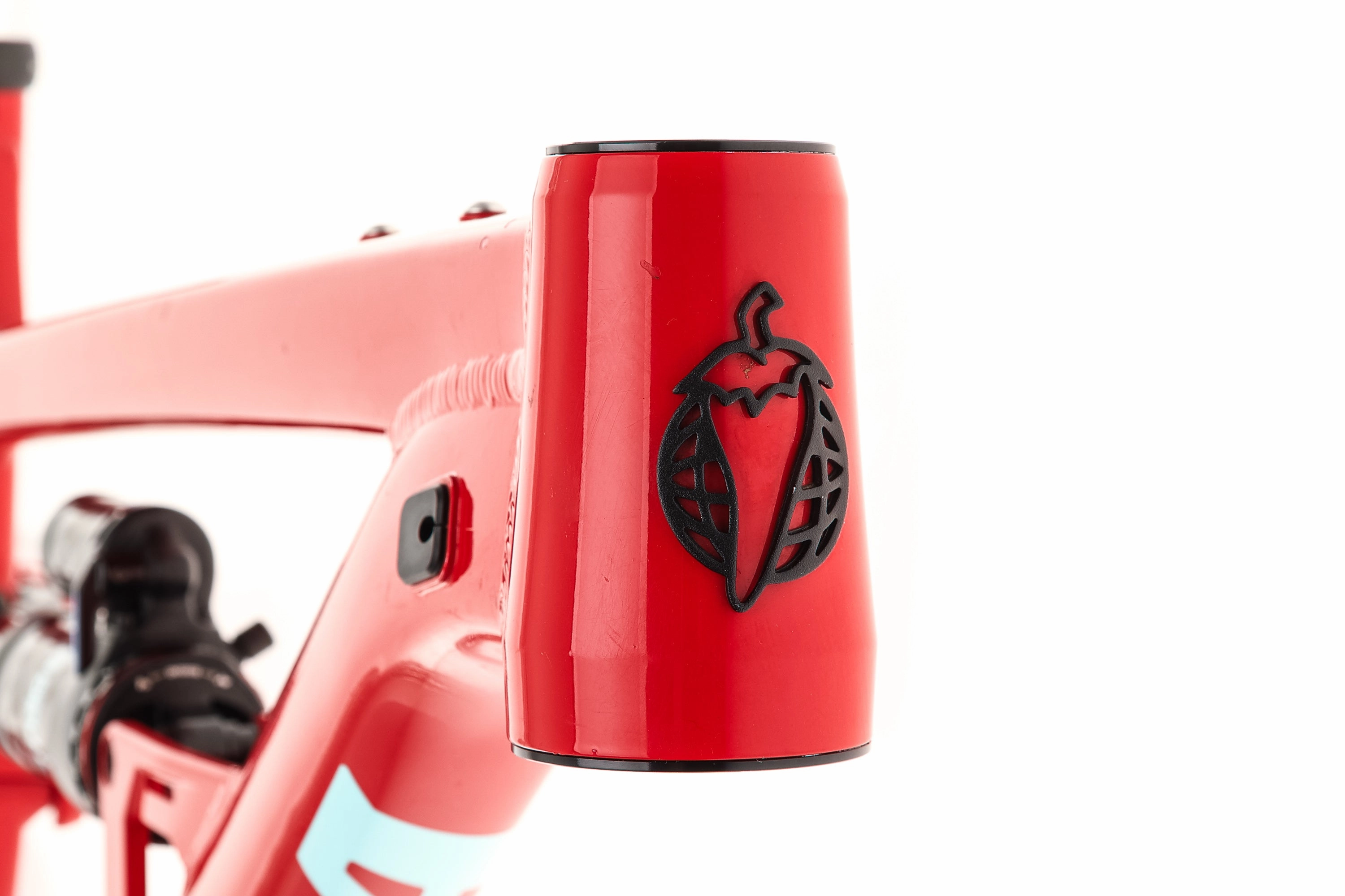 Salsa Cassidy Medium Frame - 2021