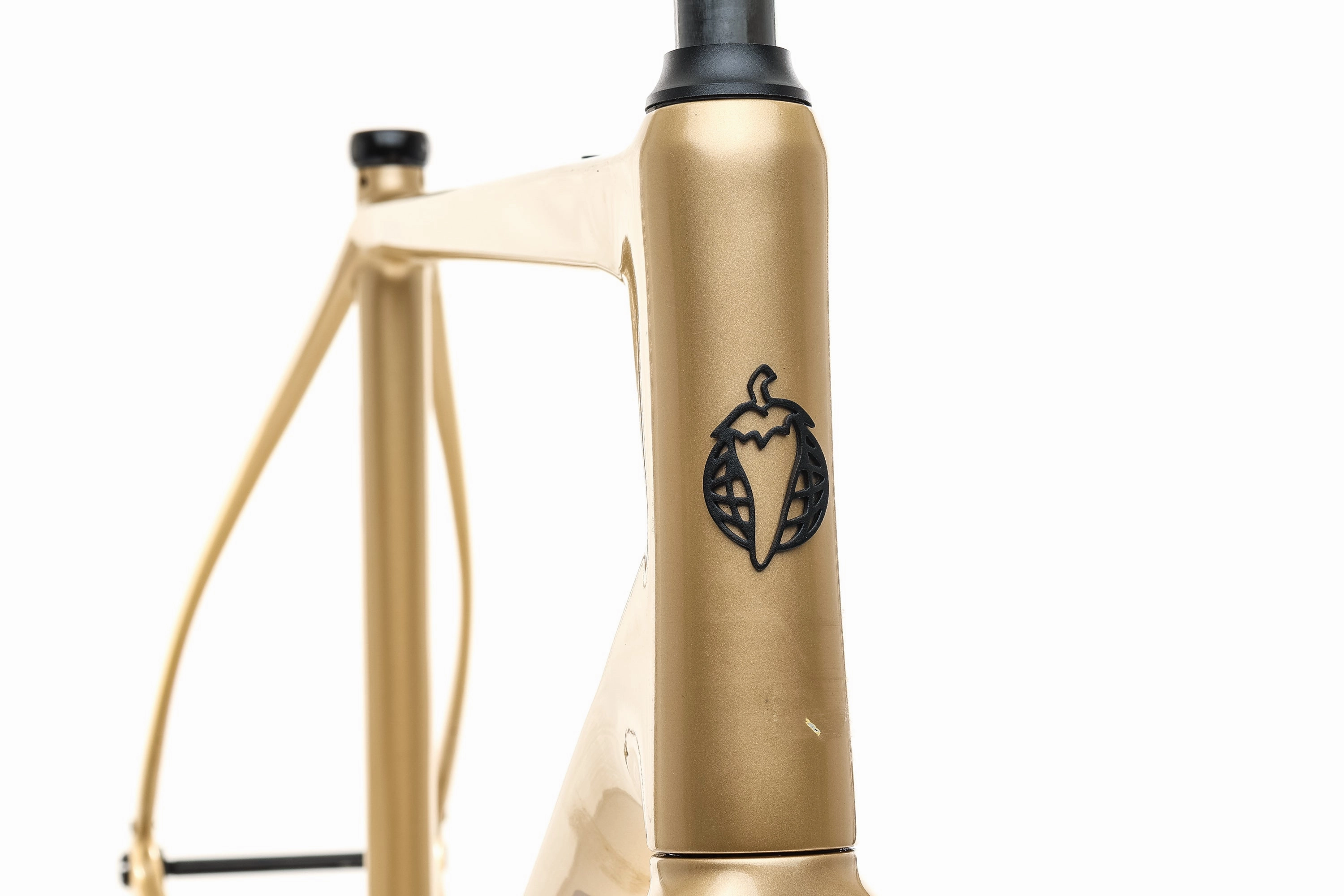 Salsa Warbird 59cm Frameset - 2021