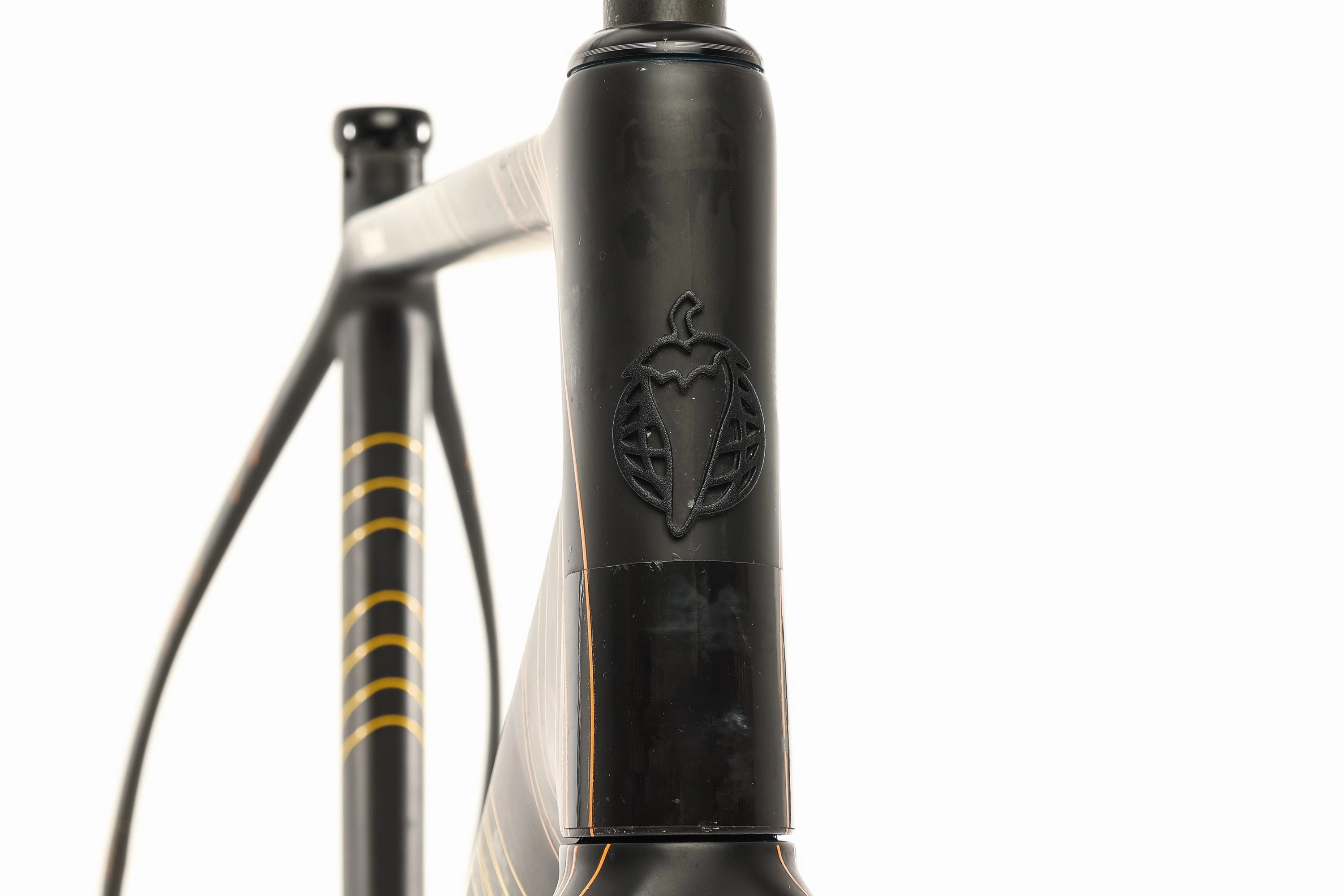 Salsa Warroad 56cm Frameset - 2019