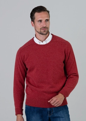 Big Price Drop Melrose 2 Ply Cashmere Crew Neck