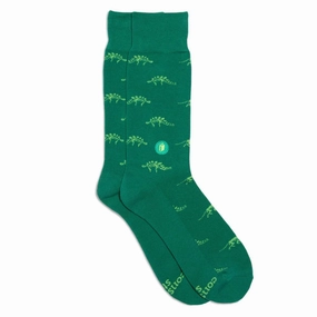 Limited Stock Deals Socks That Give Books - Dino Bones