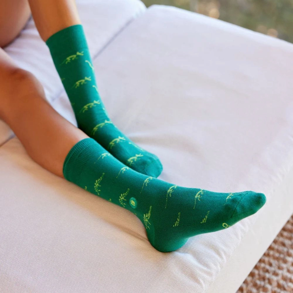 Socks That Give Books - Dino Bones Steal Todays Offer Todays Mega Savings