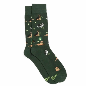 Socks That Save Dogs - Go Fetch Dont Miss Out