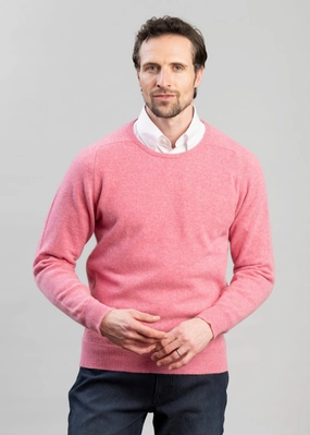 Trending Today Steal Mega Discount Today Exclusive Leven 2 Ply Lambswool Crew Neck