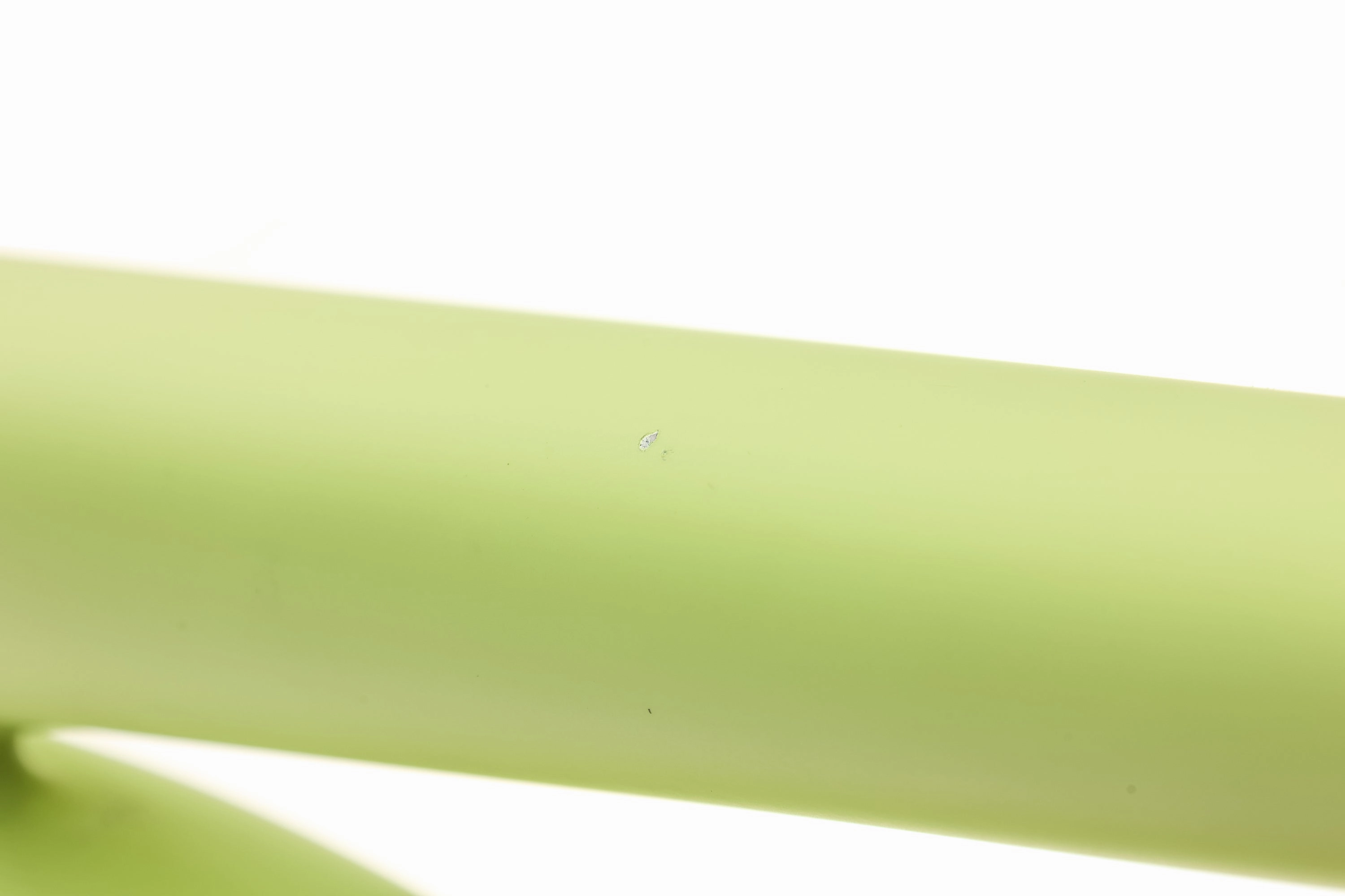 Specialized Status 140 S5 Frame - 2022