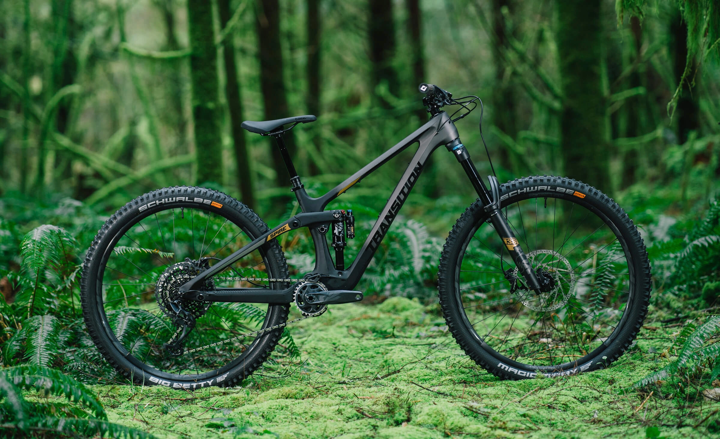 Spire Carbon Frameset