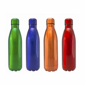 MustHave Items Exclusive Savings Event Stainless Steel Bottle