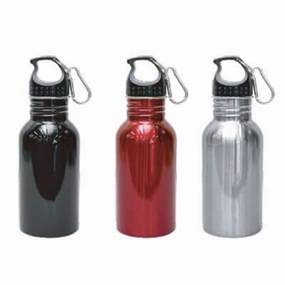 Stainless Steel Sports Bottle Shop the Savings Now Unmissable Deal Today