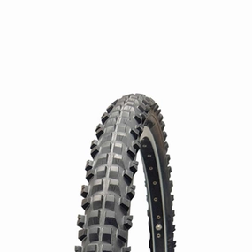 Stout DH