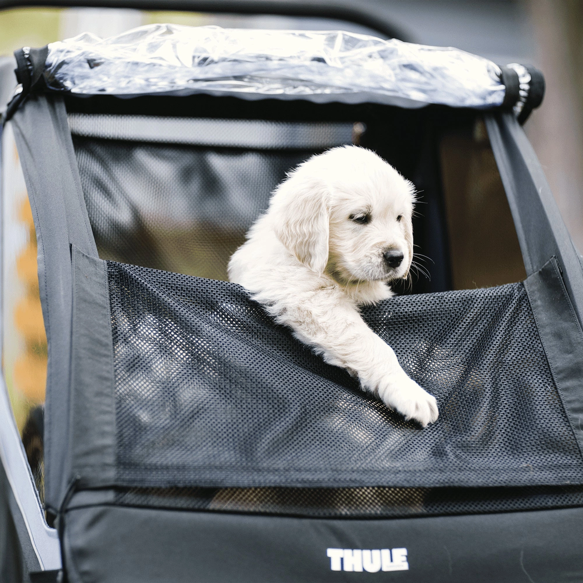 Thule Courier - Blue