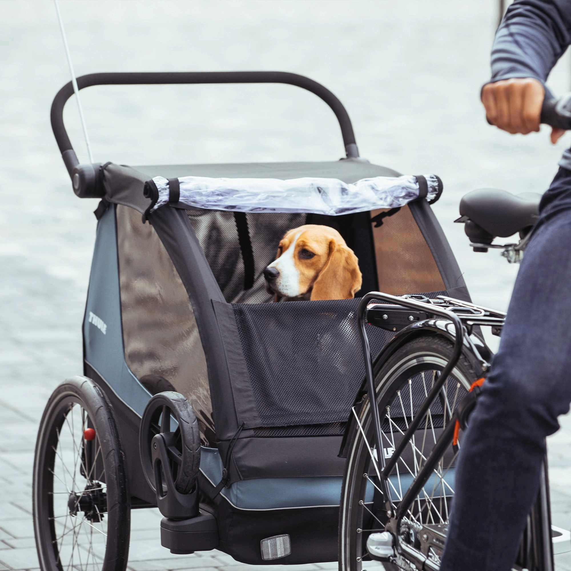 Thule Courier - Blue
