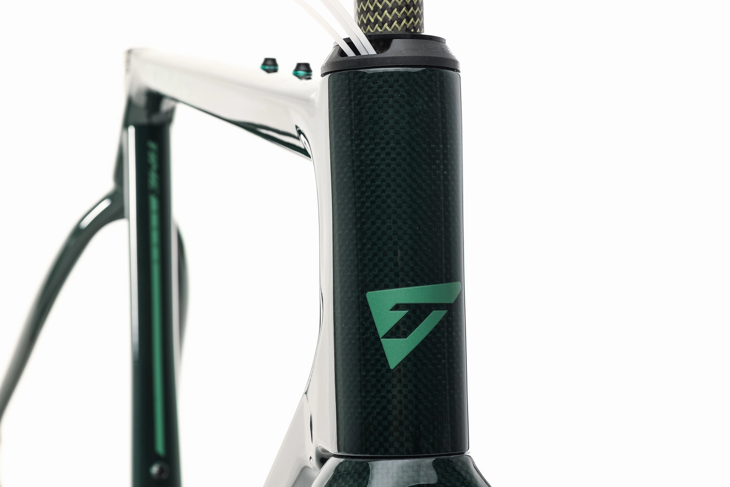 TIME ADHX Frameset - Forest