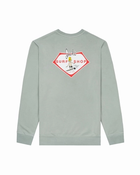 Little Dude Pigment Crewneck Sweatshirt - Pigment Sage Todays Special Picks Today Only Savings