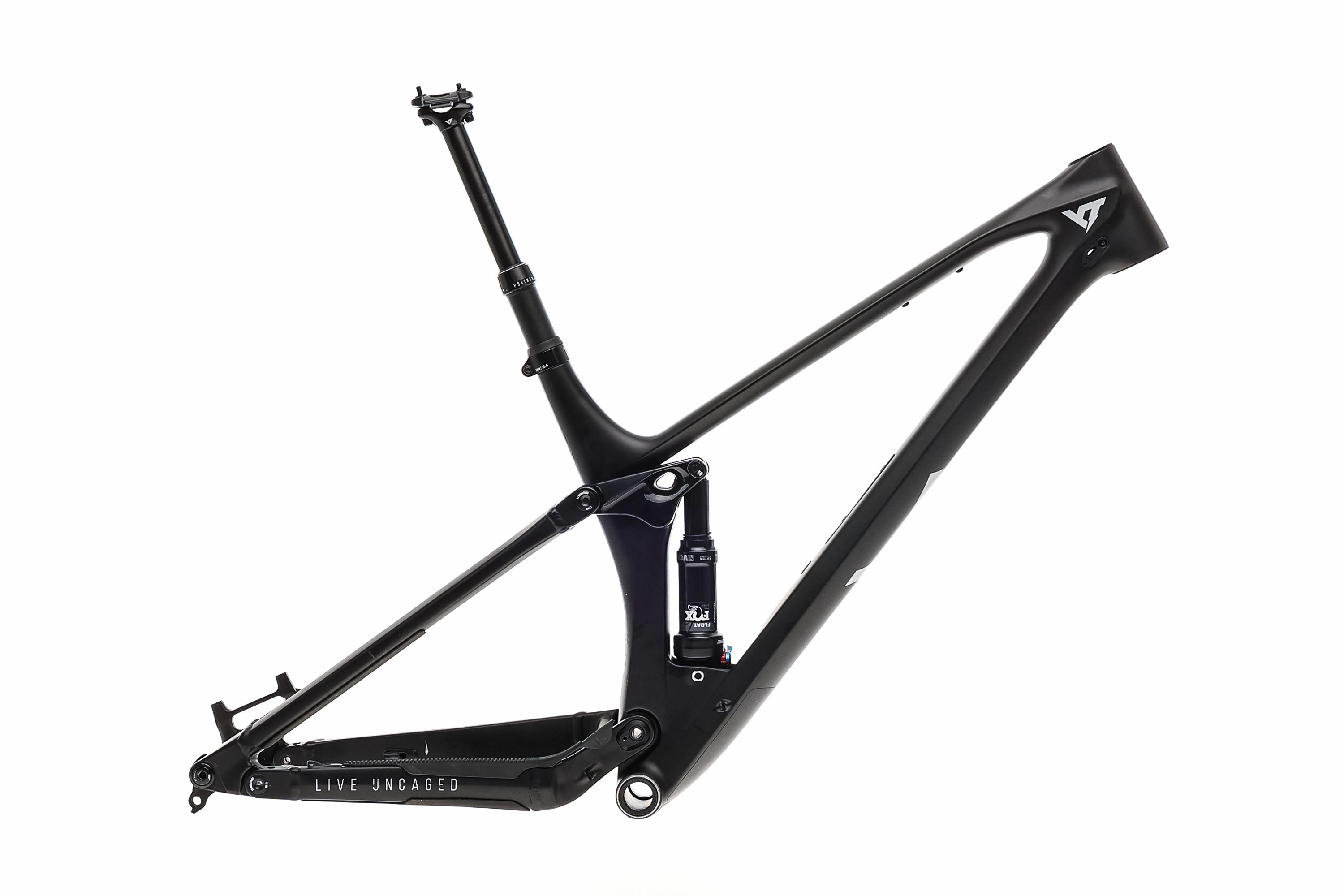 YT Izzo Large Frame - 2022